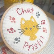 Mini kit "Chat Pristi"