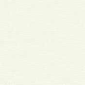 Aïda 8 - extra fine - 101 Blanc antique
